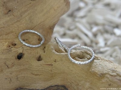 Ringetjes (2.0mm dik), 20mm, zilverkleur