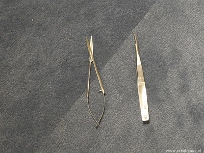 Pincetschaar gebogen, 12cm, zilverkleur