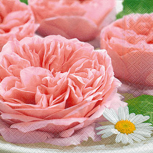 P+D servet Bellissimo, 33x33cm, design 21890