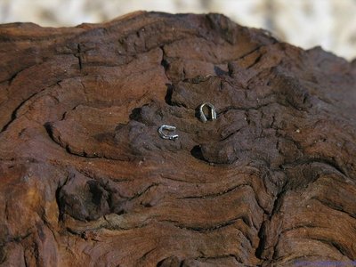 Hoefijzertjes, 5x4mm, zilverkleur