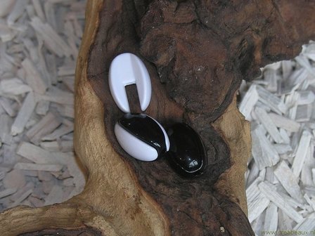 414125077 Klikkraal, 24x16mm, zwart-wit