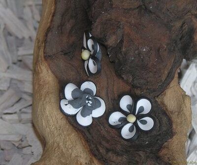 Bloem, 20x20mm, zwart-wit