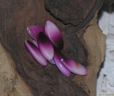 Kraal ovaal, 17x7mm, amethist