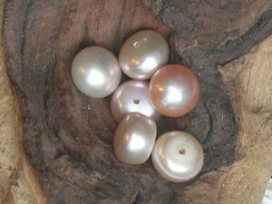 Kralen Natuurlijke materialen Overig
